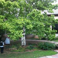 Thunderbird Chapel - 3