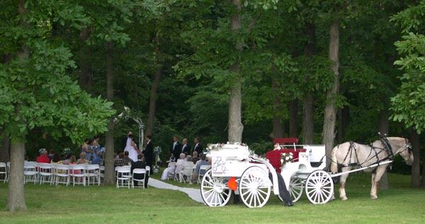 Martha's Orchard - 4