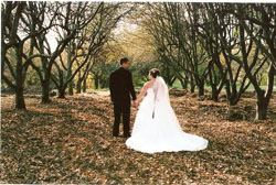 Martha's Orchard - 1