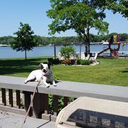 Lighthouse Lodge B And B on Lake Shafer - 3