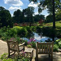 Wellfield Botanic Gardens - 3