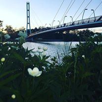 IPFW International Ballroom - 5