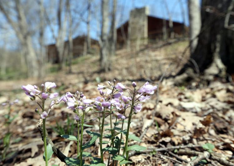 Izaak Walton League of America - 5