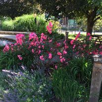 Wonderlab Museum of Science Health and Technology - 2