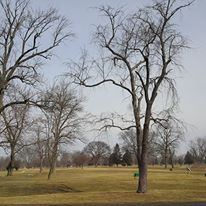 The Landing at Fort Harrison - 3