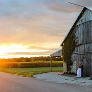 Montgomery Farms - 1