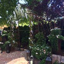 The Roosevelt Inn - 4