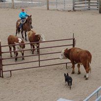 Lazy J Ranch Bed And Breakfast - 5