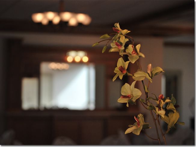 The Orchid Room At Morgans Alley - 5