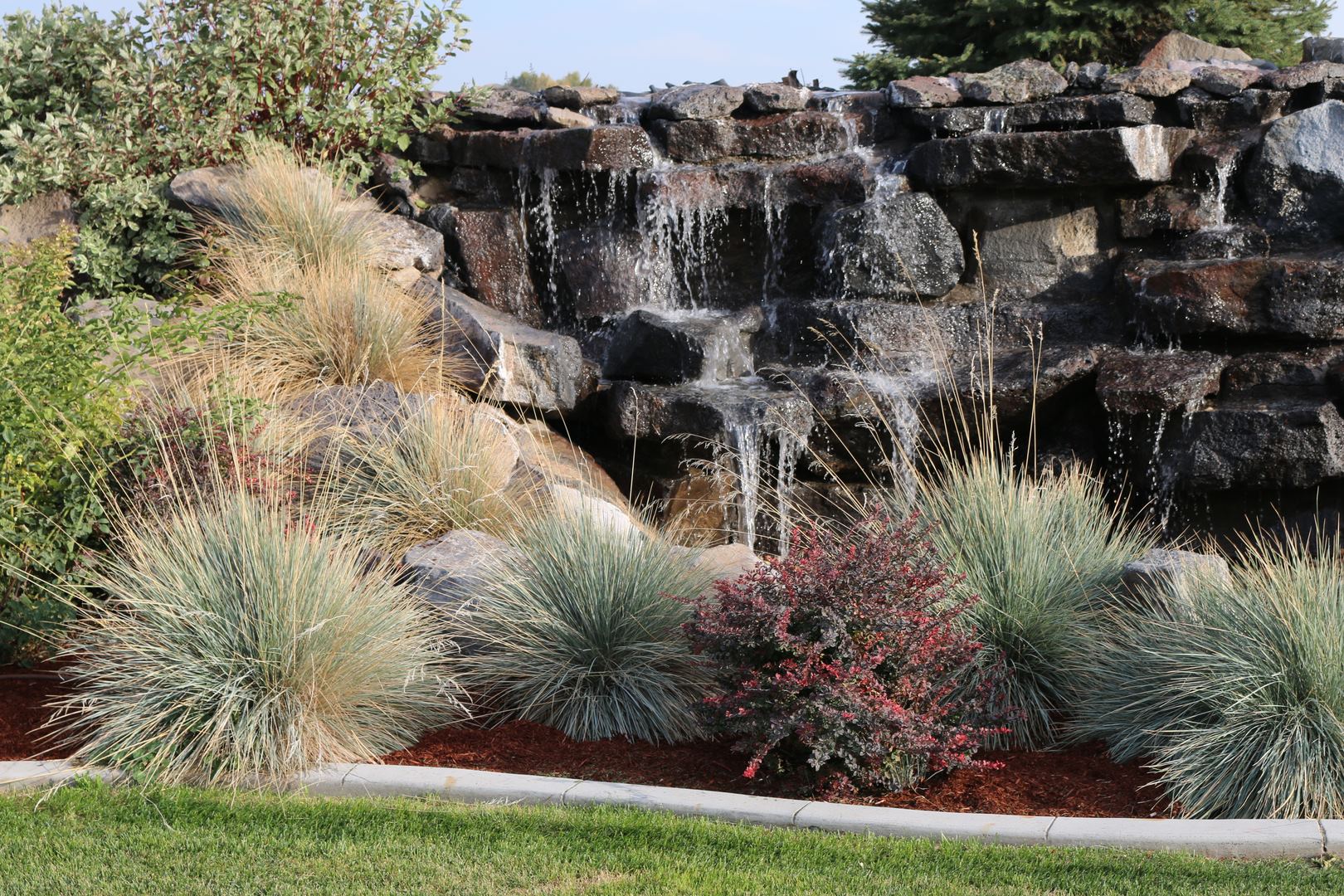 The Castle Gardens - 5