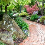 The Conservatory - 3