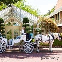 The Conservatory - 2