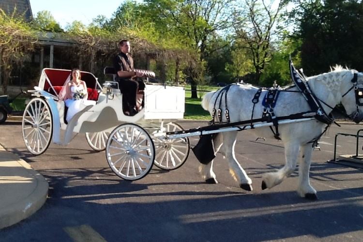 Forest Park Golf Course - 2