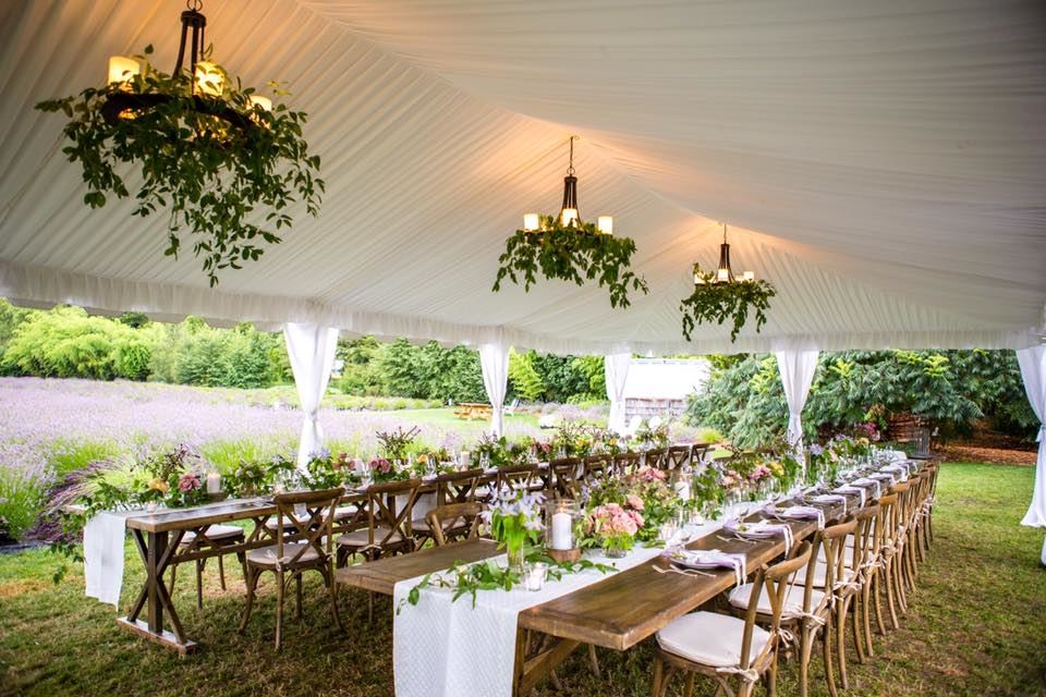 Woodinville Lavender - 6