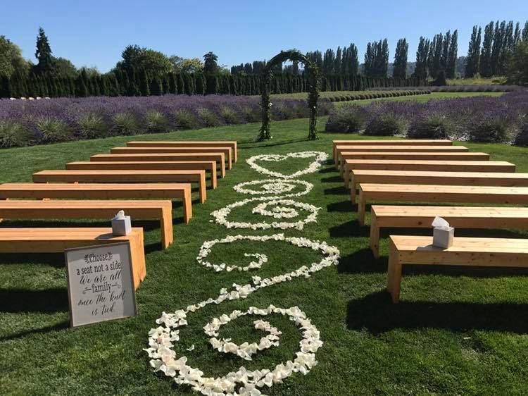 Woodinville Lavender - 4