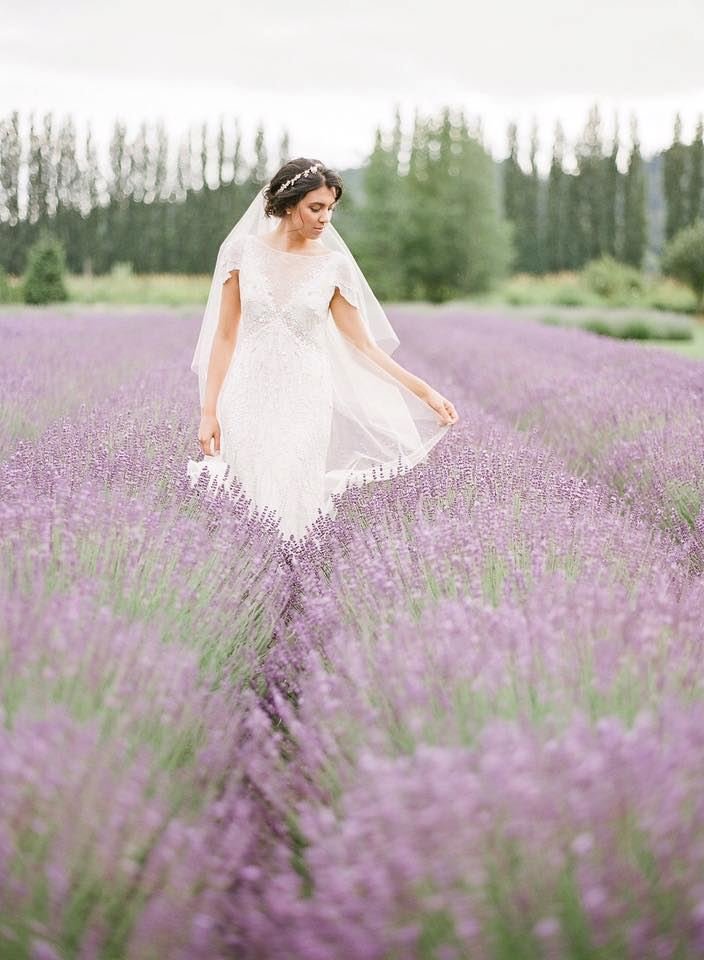 Woodinville Lavender - 5