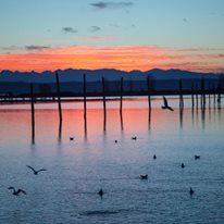 Floral Hall at Forest Park - 1