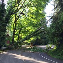 Mercer Island Community And Event Center - 4