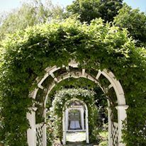 The Grand Willow - 2