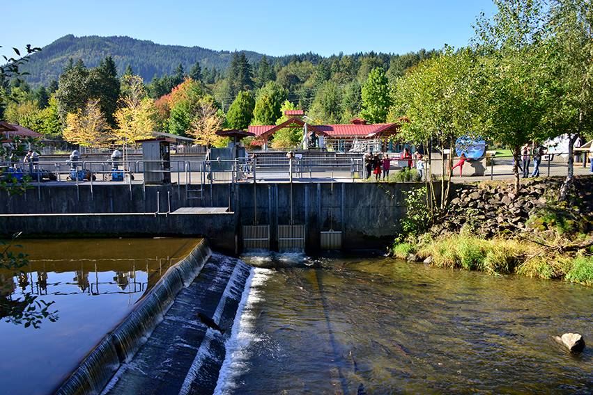 Tibbetts Creek Manor - 7