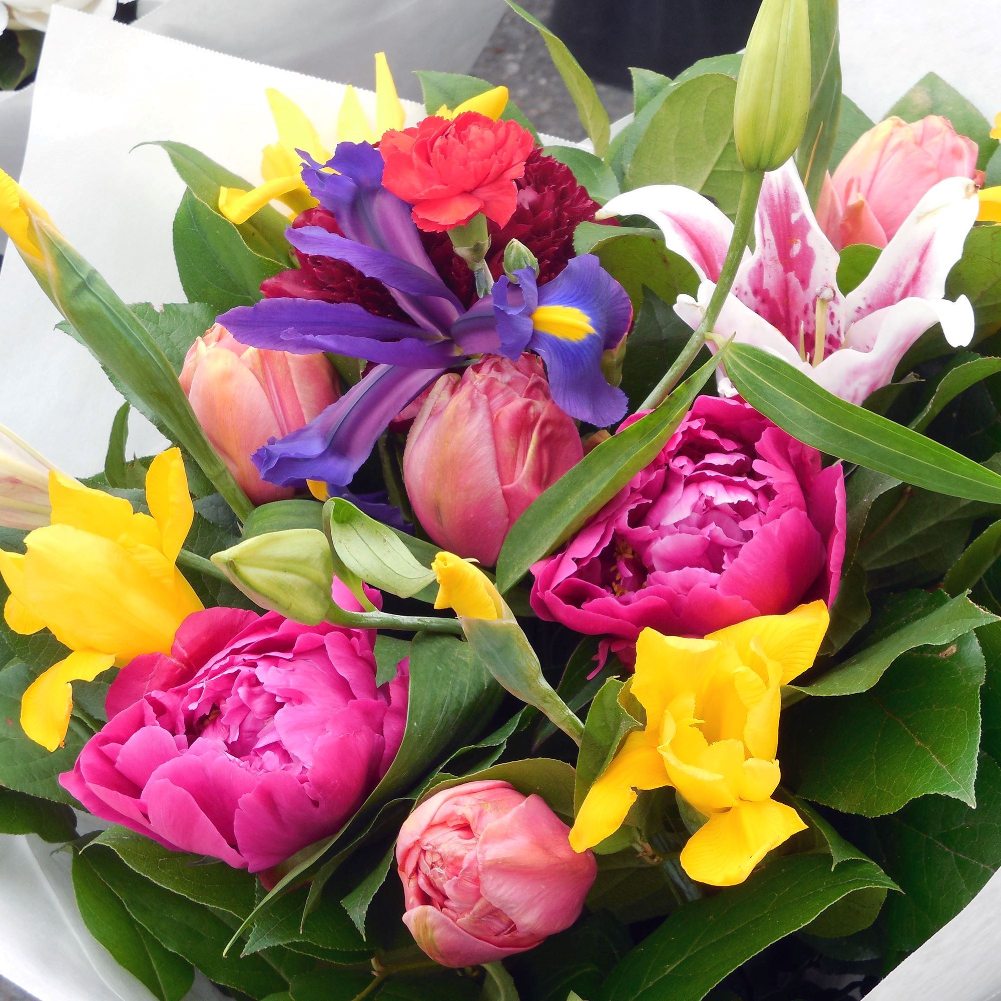 Tibbetts Creek Manor - 1