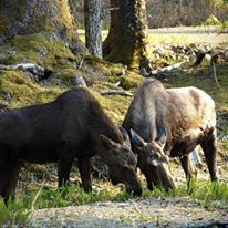 Riley Ridge Retreat - 6