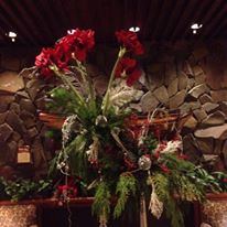 The Hotel Captain Cook - 5