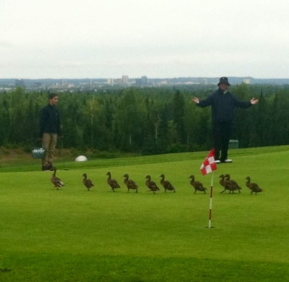 O'Malley's On The Green - 5