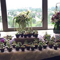 Sheraton Anchorage Hotel And Spa - 4