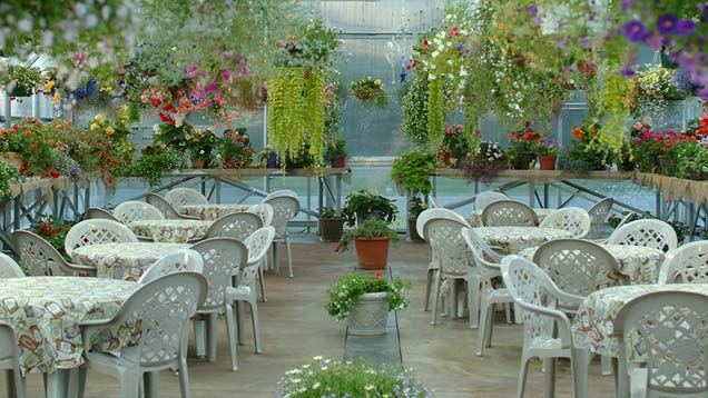 Pikes Waterfront Lodge - 2