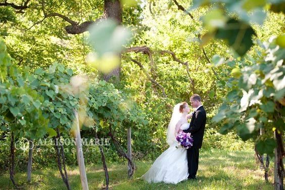 Summerset Winery - 1