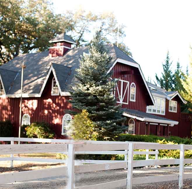 Rough And Ready Vineyards - 7