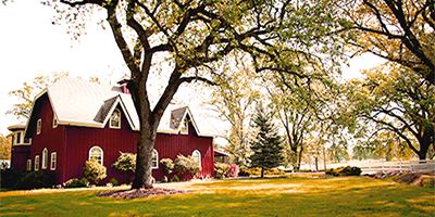 Rough And Ready Vineyards - 5