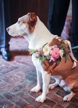 Swedenborgian Church Of San Francisco - 5