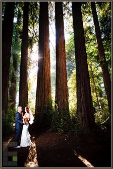 Roaring Camp Railroads - 2