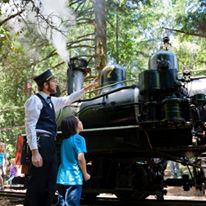 Roaring Camp Railroads - 5