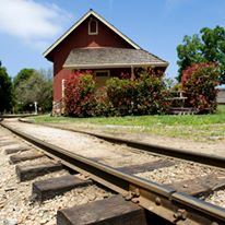 Roaring Camp Railroads - 3