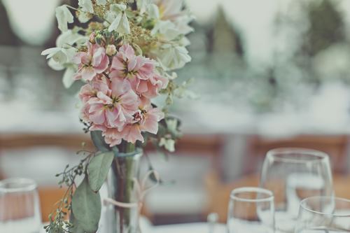 Spruce Lodge At Glacier Camp - 6