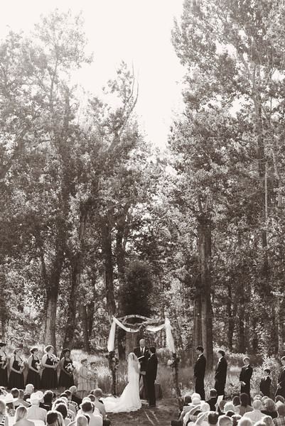 Quaking Aspen Ranch - 3