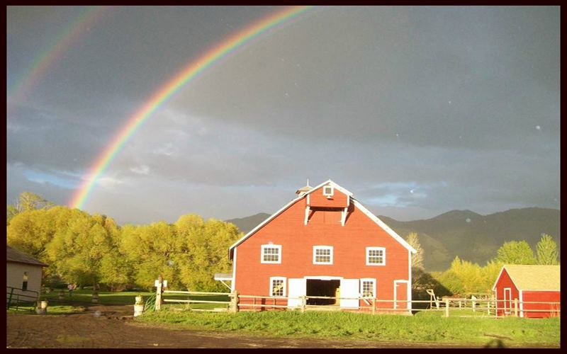 Roys Barn And Lodge - 1