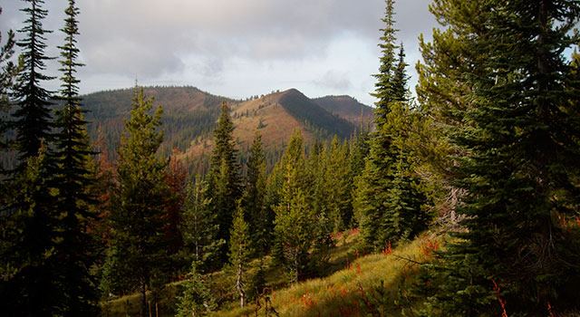 Montana River Lodge - 6