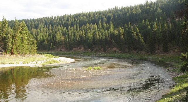 Montana River Lodge - 5