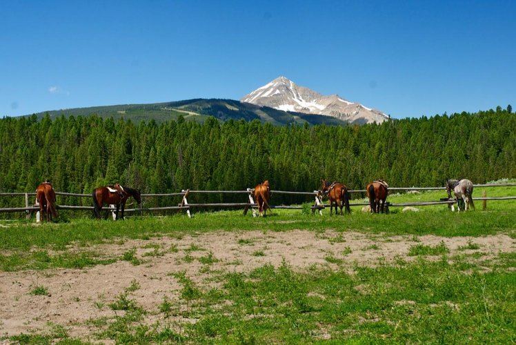 Lone Mountain Ranch, Gallatin Gateway, Montana, Wedding Venue