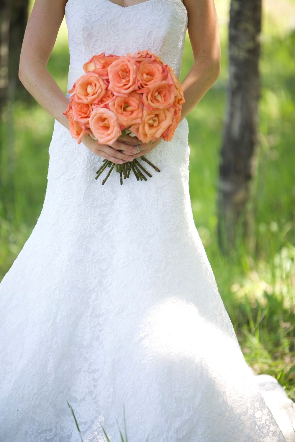 Thompson River Ranch - 7