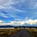 Yellowstone Under Canvas - 2