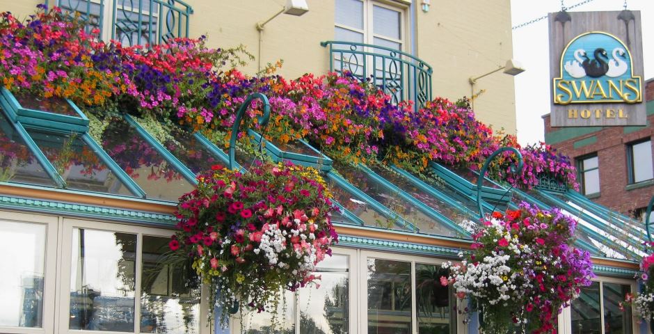 Swans Hotel and Brewpub - 3