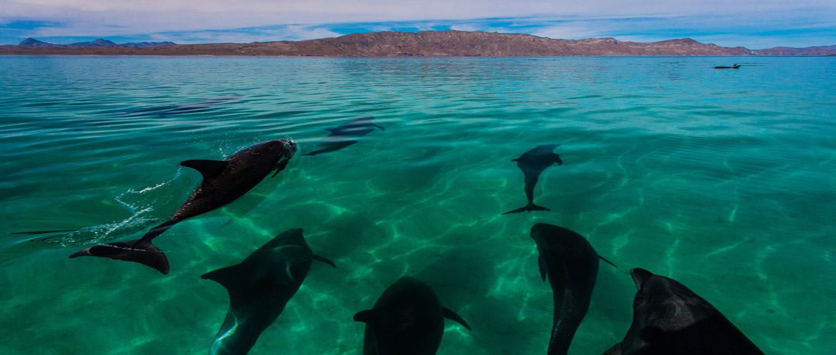 La Mision Loreto - 7