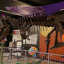 Washington Pavillion - 3