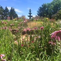 McCrory Gardens Education and Visitor Center - 6