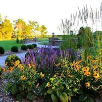 Penny Tree Events - 2